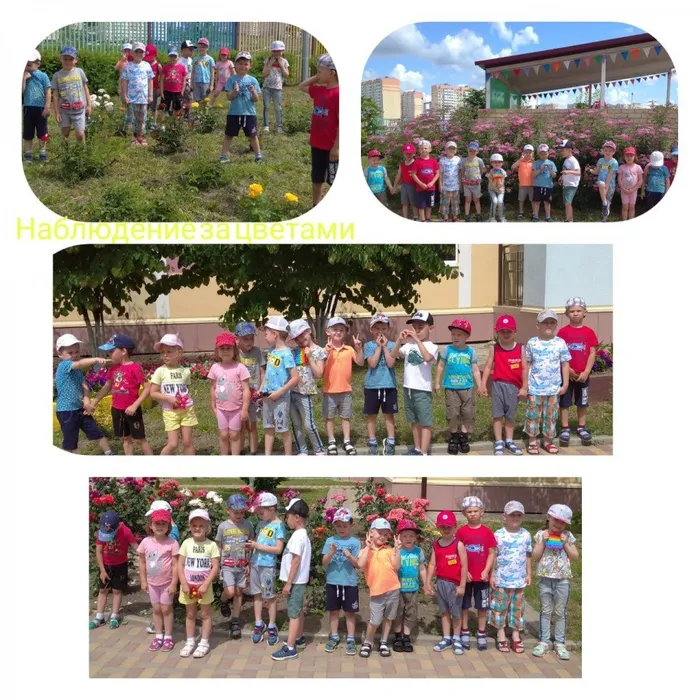 7cbdf82f-ad81-4d53-878d-1c7d0cc13a26