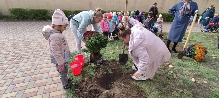 df7ea397-5ff3-481e-aabe-1f1181e322fe