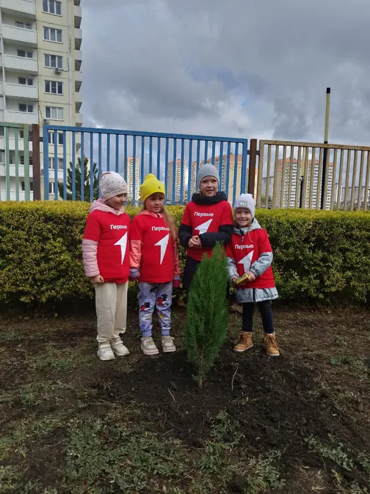 746fb26c-dbd6-46a0-be24-a3ca18dd6484