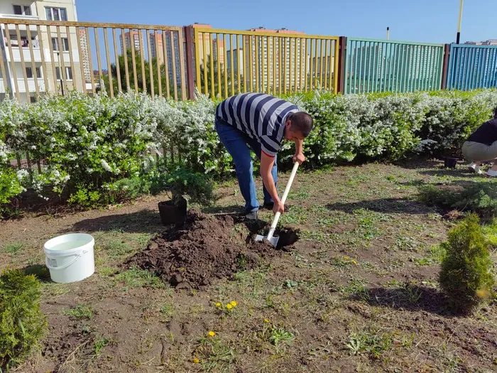 f37bbee0-98e0-4c6f-b361-4597f6cc4485