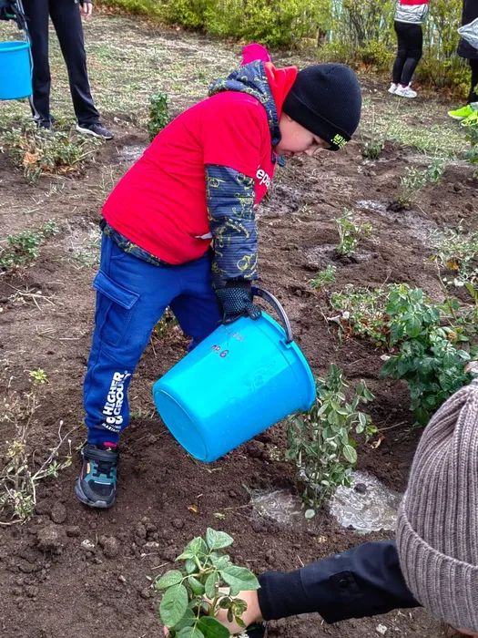 82587c56-0686-4f6c-9462-9a9b59532f6a