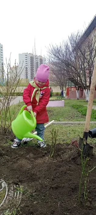 33daf72a-625d-4ff1-bc9f-797f90247272