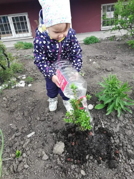 d5a90ff1-4518-4cf1-ac6f-b4dba4575b61